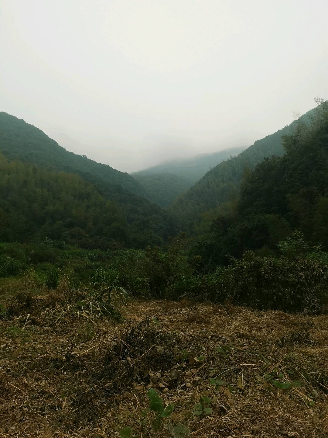 温先生文旅项目，寻找直接投资人