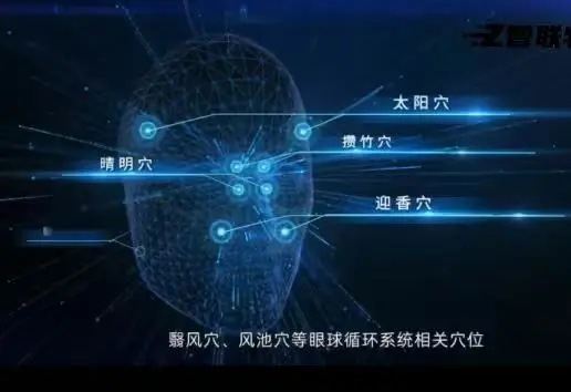 张女士找合伙人