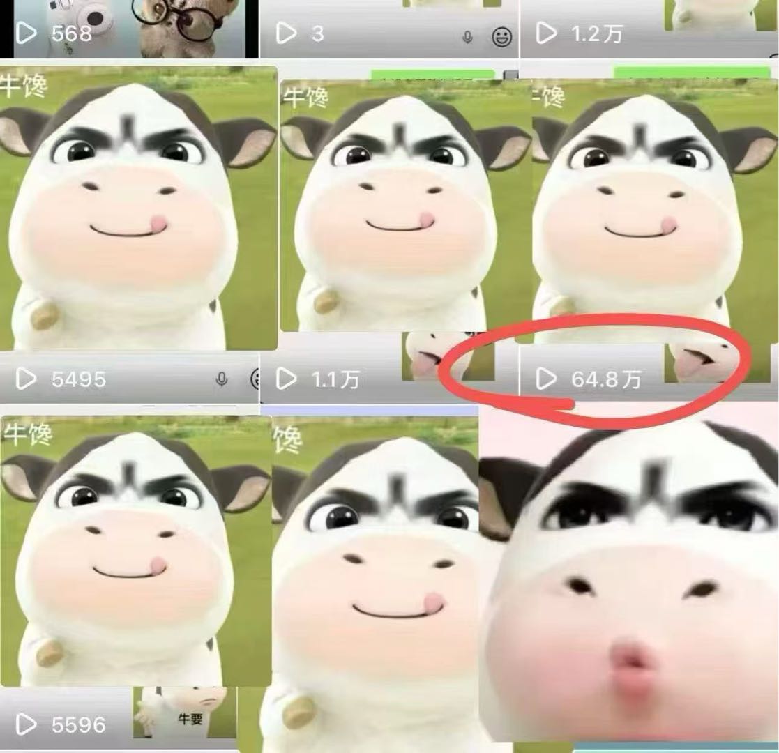 张女士其他供需