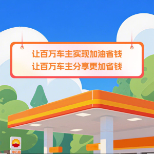 巩女士