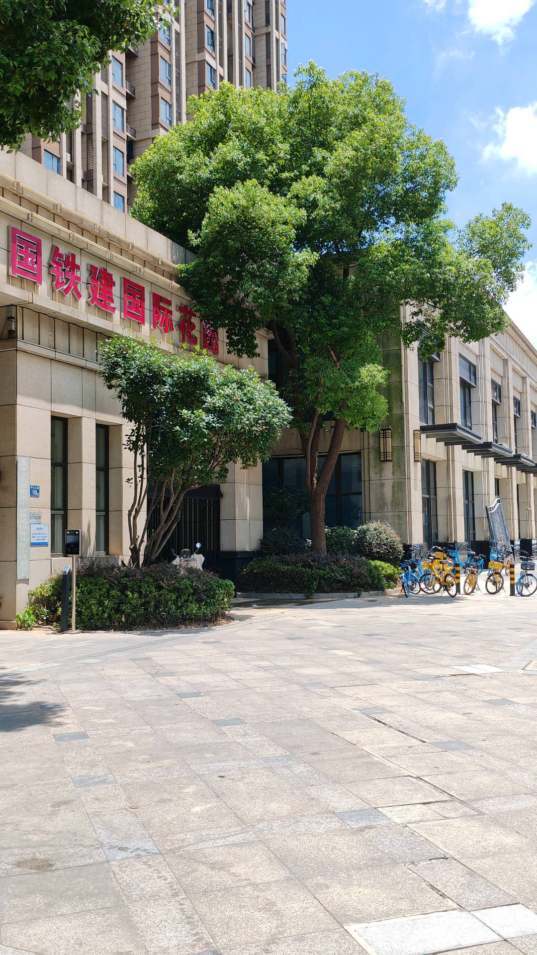 张晚霞地推项目爱普生打印机对接项目，一手对接