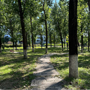 u客直谈实名认证胡先生