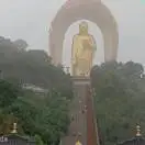 白先生