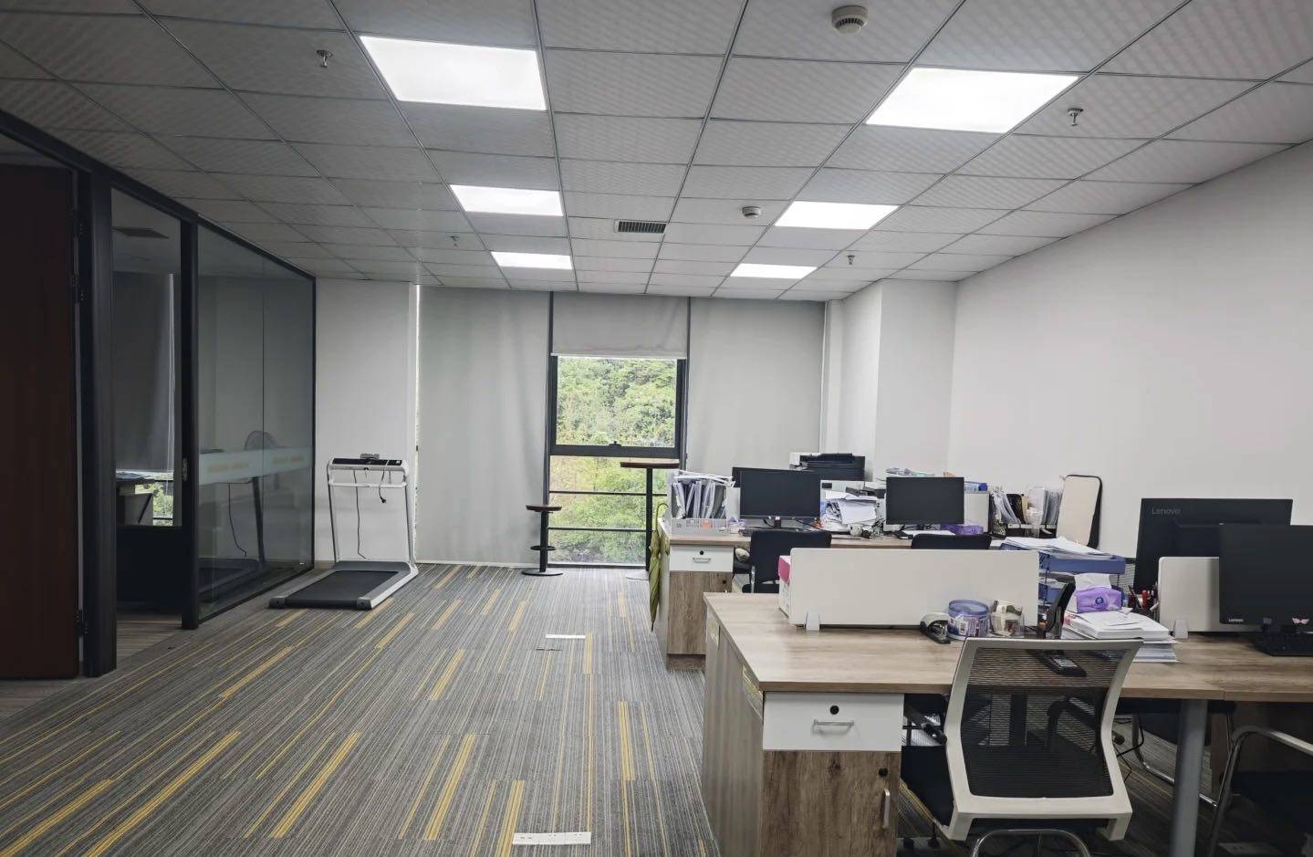 陈先生找合伙人全新上线打米福利游戏收日当天可提收益日提