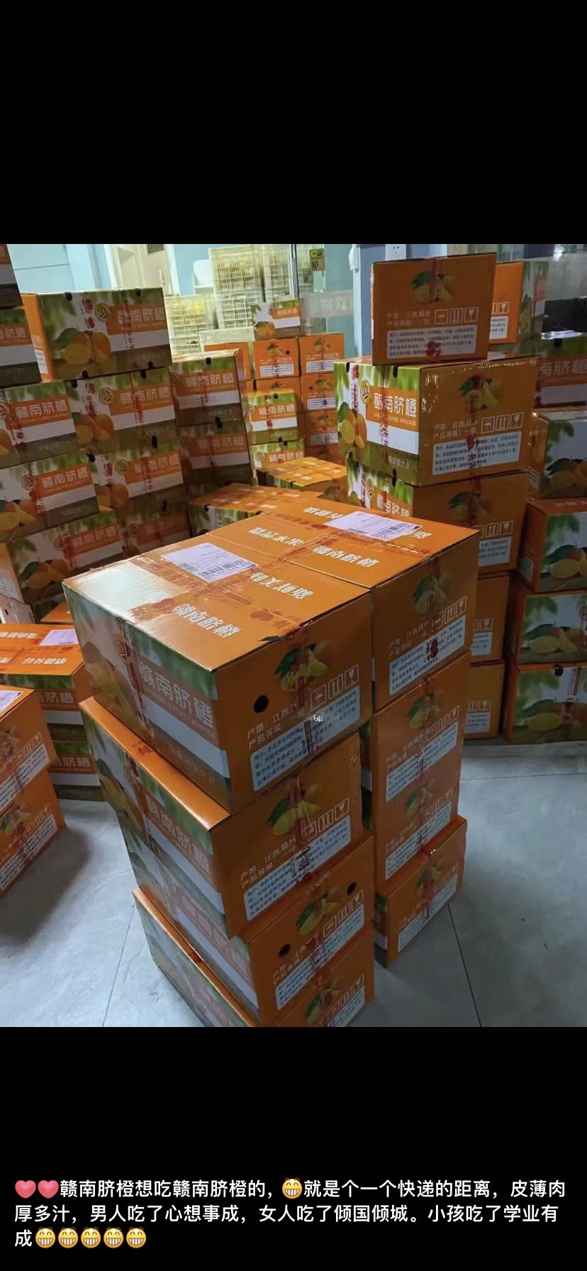 宁先生原产地赣南脐橙一件可发