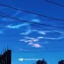 苏新皓
