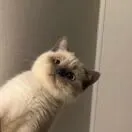 黄家豪