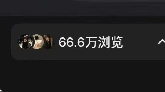 龚女士找合伙人小说推文项目，绿色稳定，独立后台，日结。时间自由，操作简单