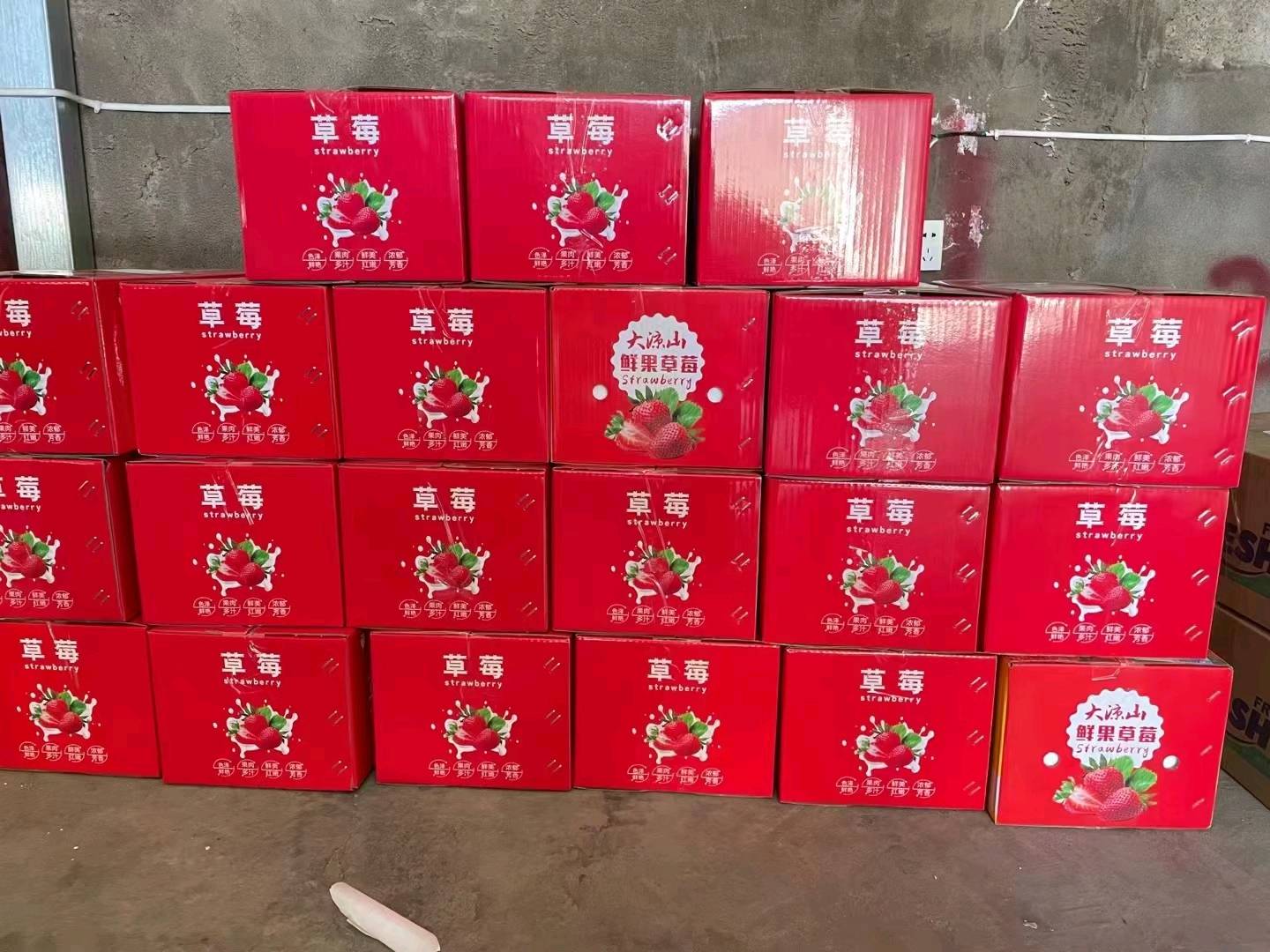 马先生大凉山阳光草莓
