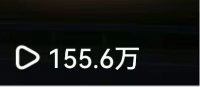 冶女士找合伙人