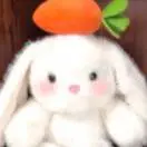 王女士