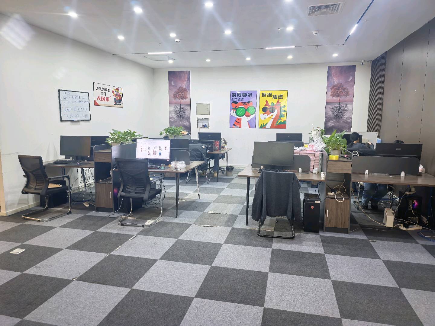 高先生场地活动