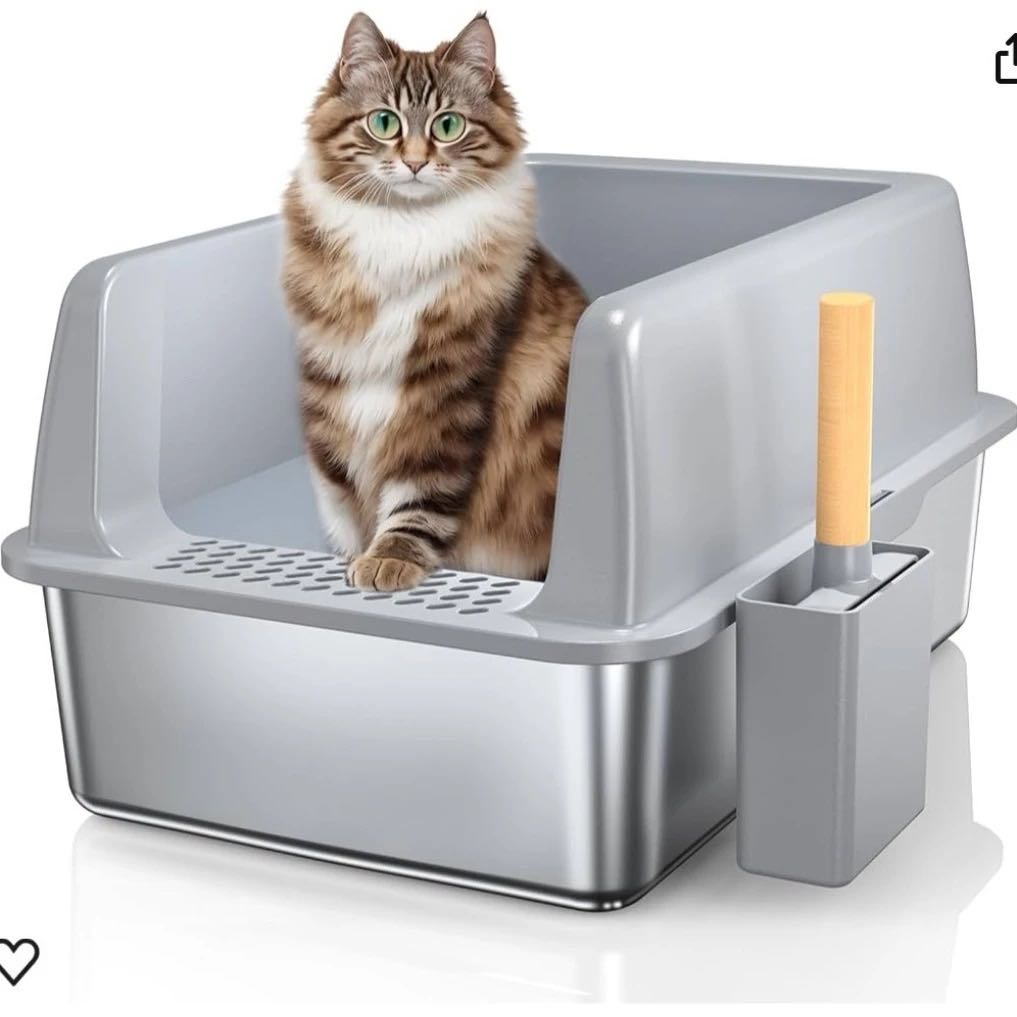 姜先生品牌货源