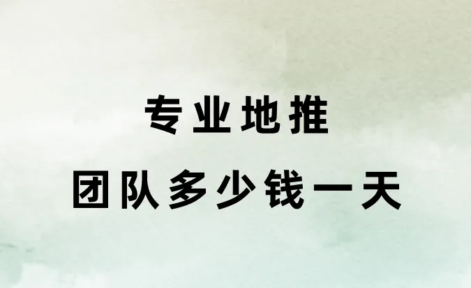 专业地推团队多少钱一天？去哪里找专业的地推团队？