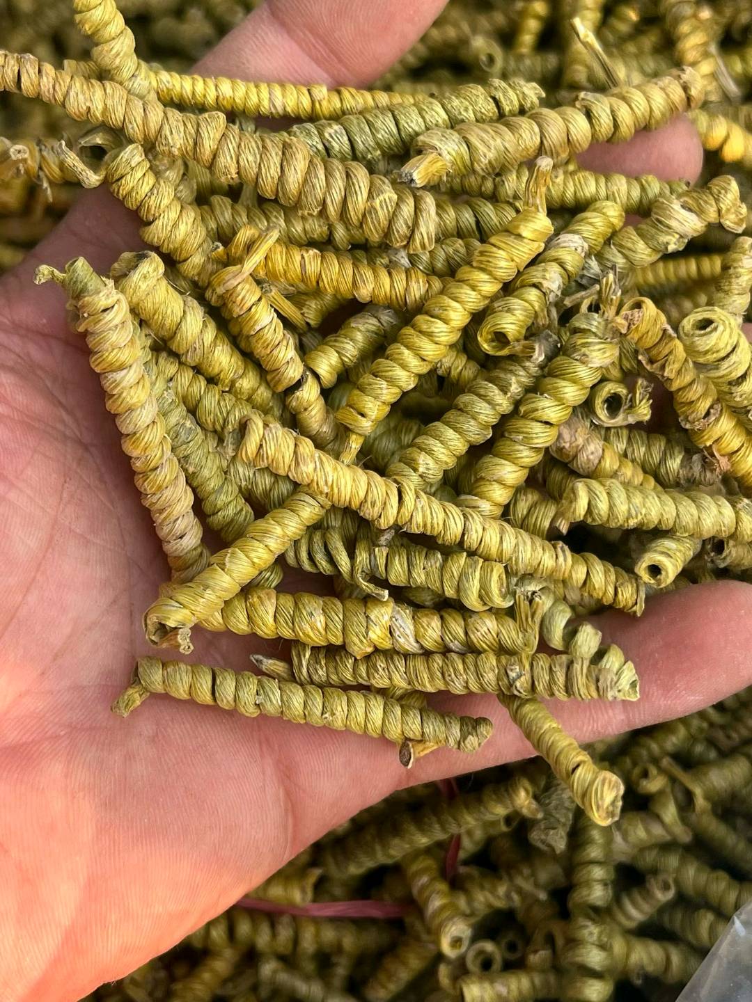 金明泽品牌货源