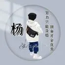 杨金龙