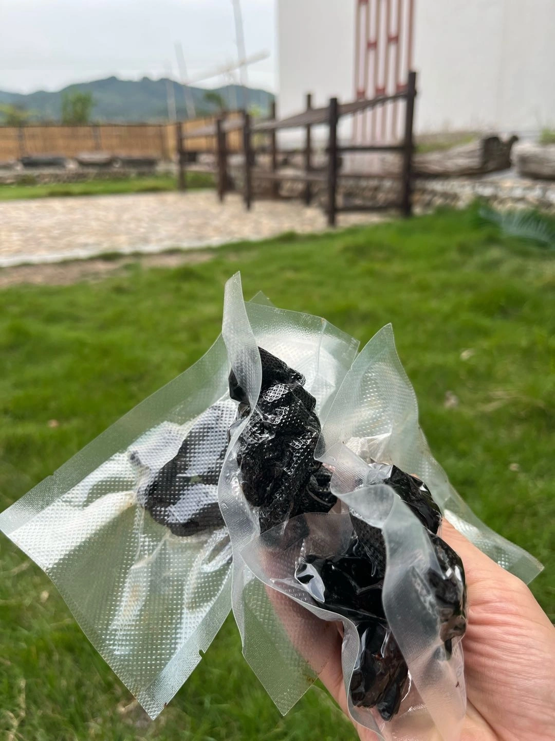 邱柳梦找合伙人