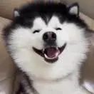 王先生