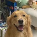 u客直谈实名认证邱万朗