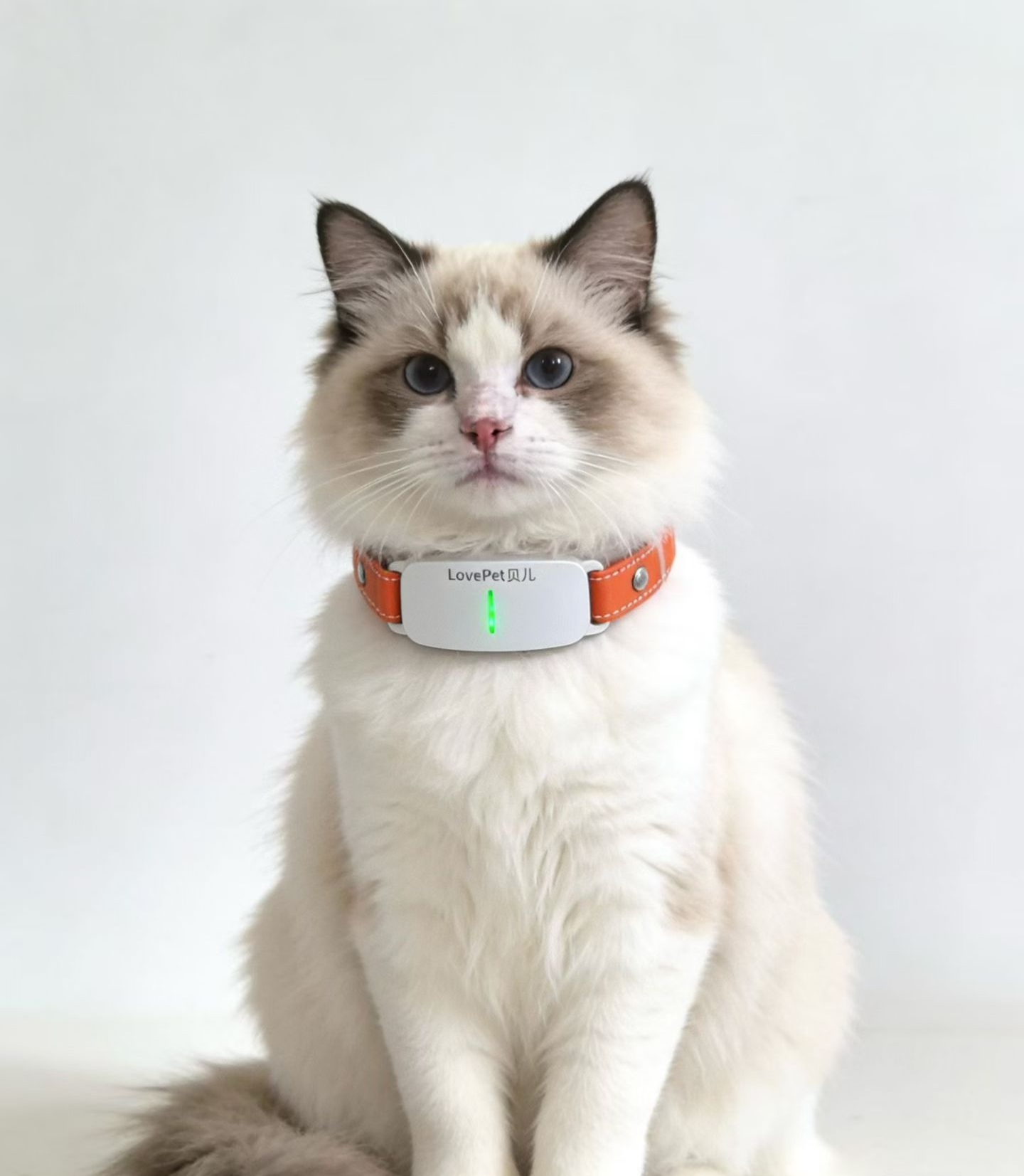 姚长江低风险联营、五千亿宠物经济遇上AI革命，万元起步当老板共享宠物智能经济