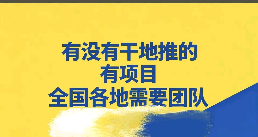胡应飞地推项目人宠无障碍交流智能项圈