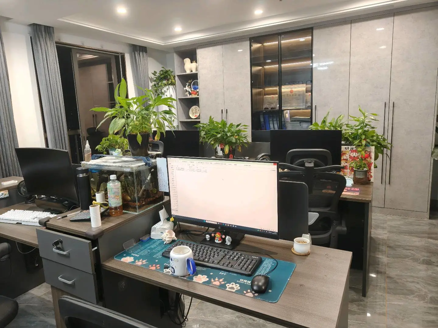 杨福建标书代写