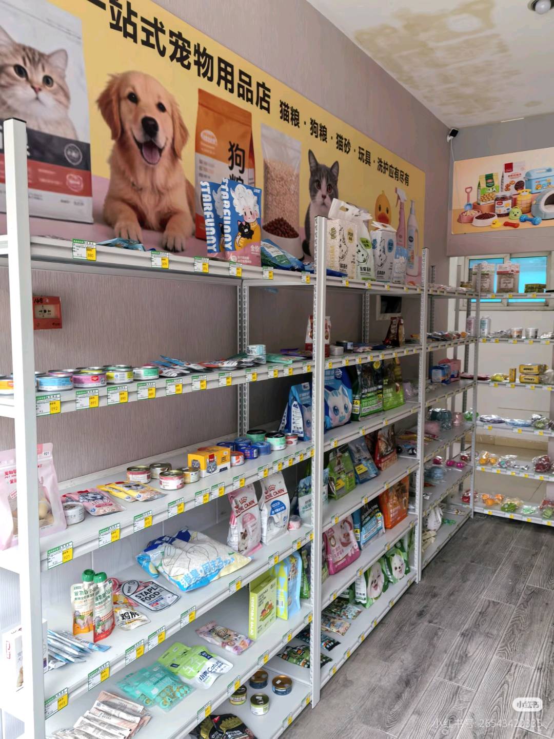 李先生颠覆传统宠物店!24小时无人值守,全品类供货,保姆式运营