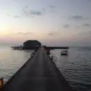 季冬磊