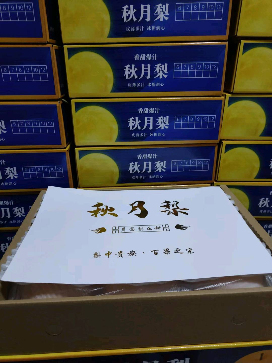鞠先生品牌货源