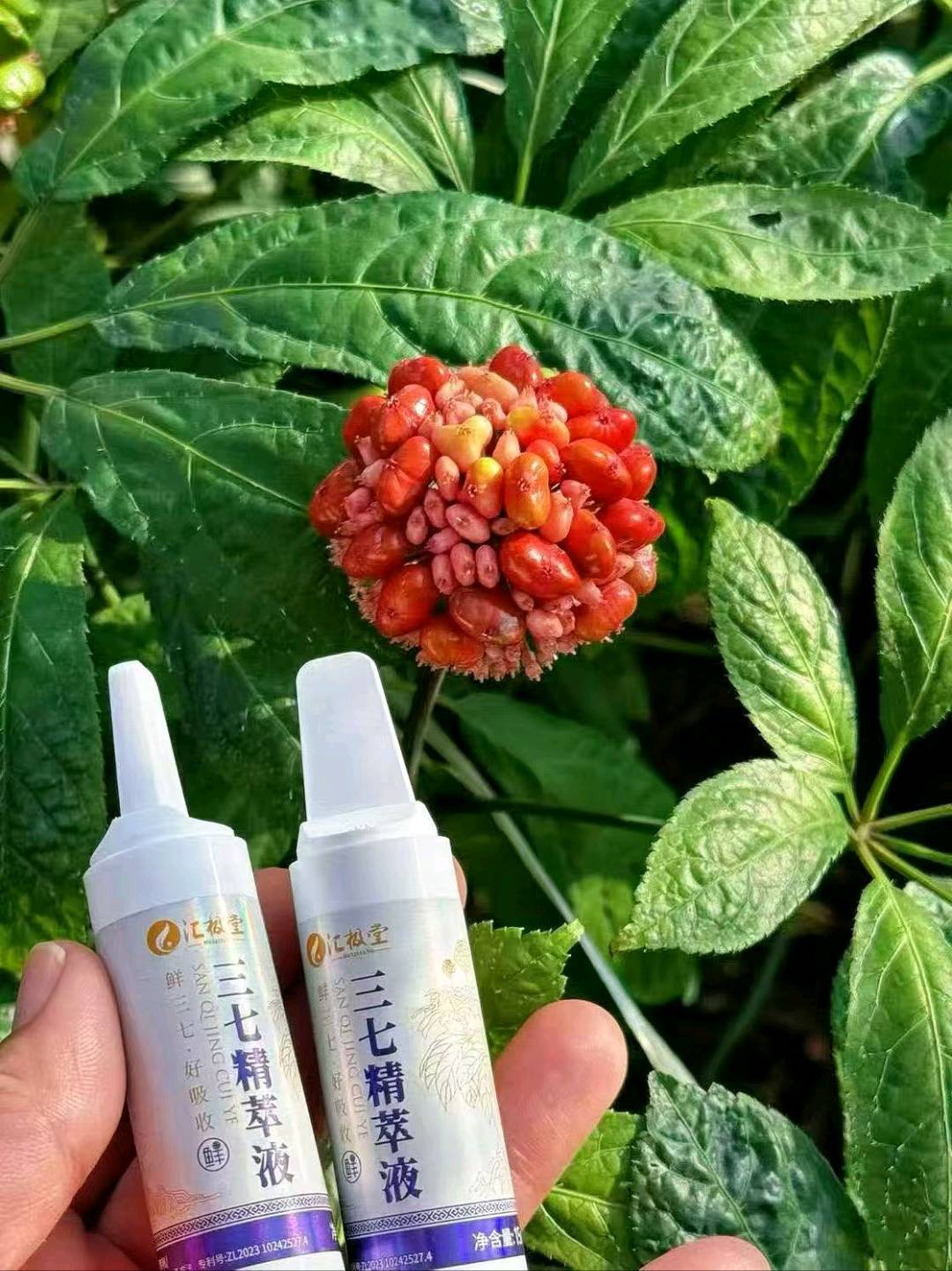 丁孝武其他供需