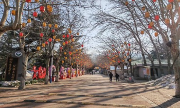 张先生场地活动