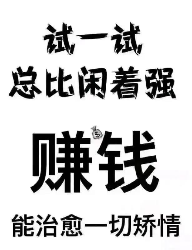 张航找合伙人新服开服组队，游戏搬砖 日结 超轻松