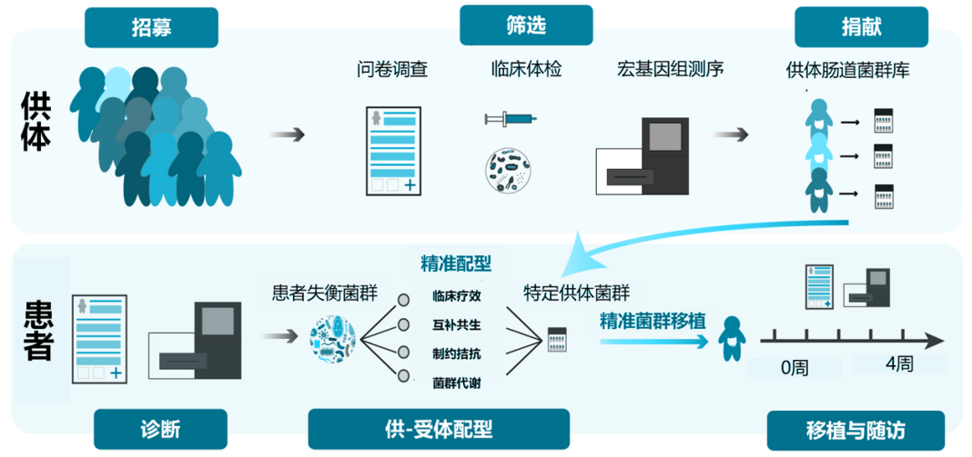 顾先生肠菌移植服务，16SRDNA检测服务，益生菌/元/后生元产品寻求渠道！