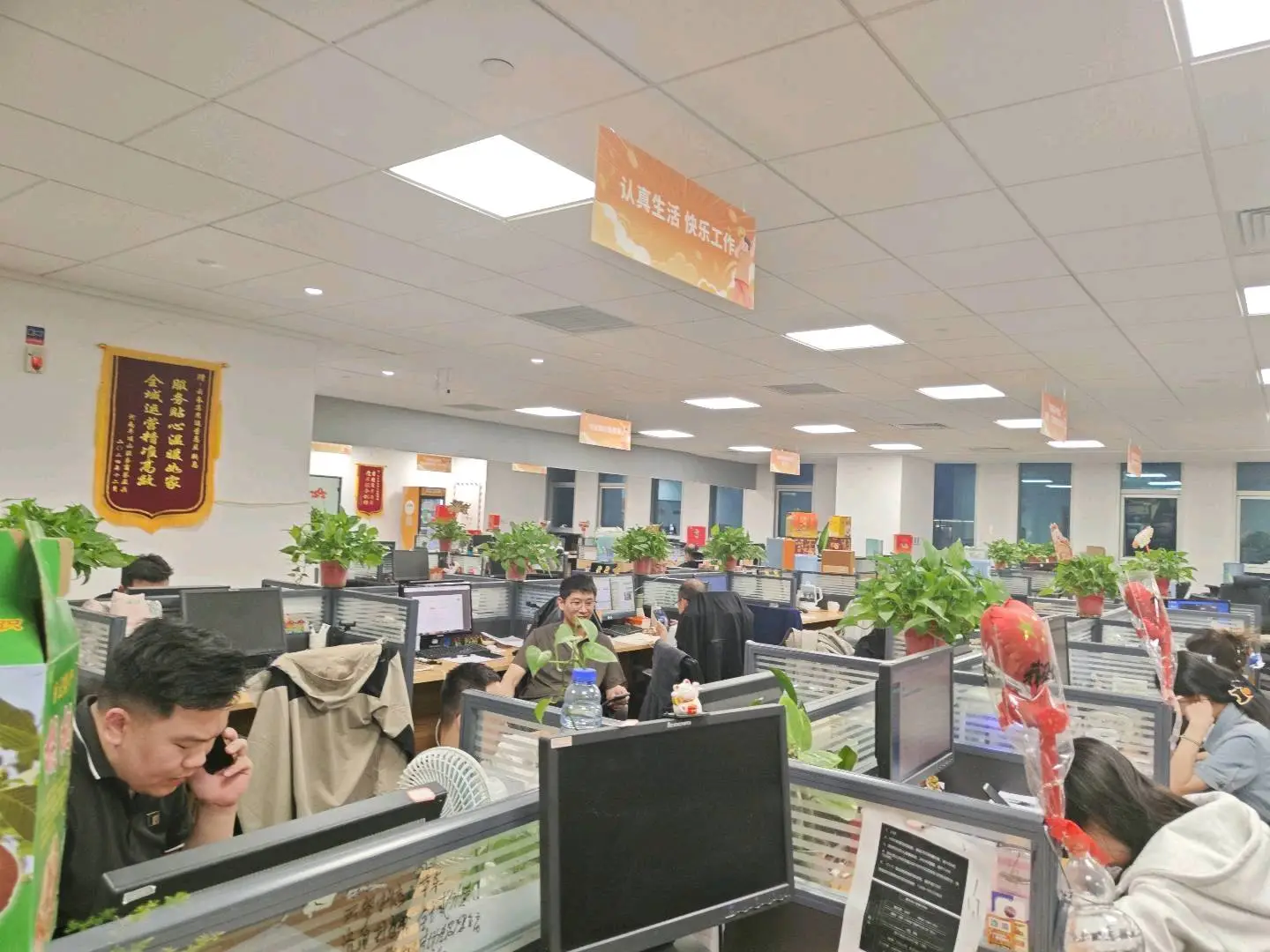 张先生找合伙人