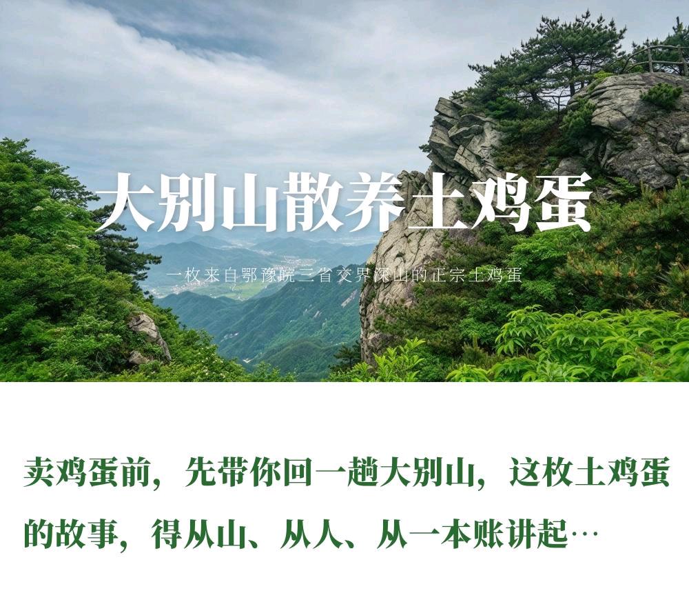石先生找合伙人提供大别山散养土鸡蛋一手货源,招募社区团长合作,0投资配全套售后