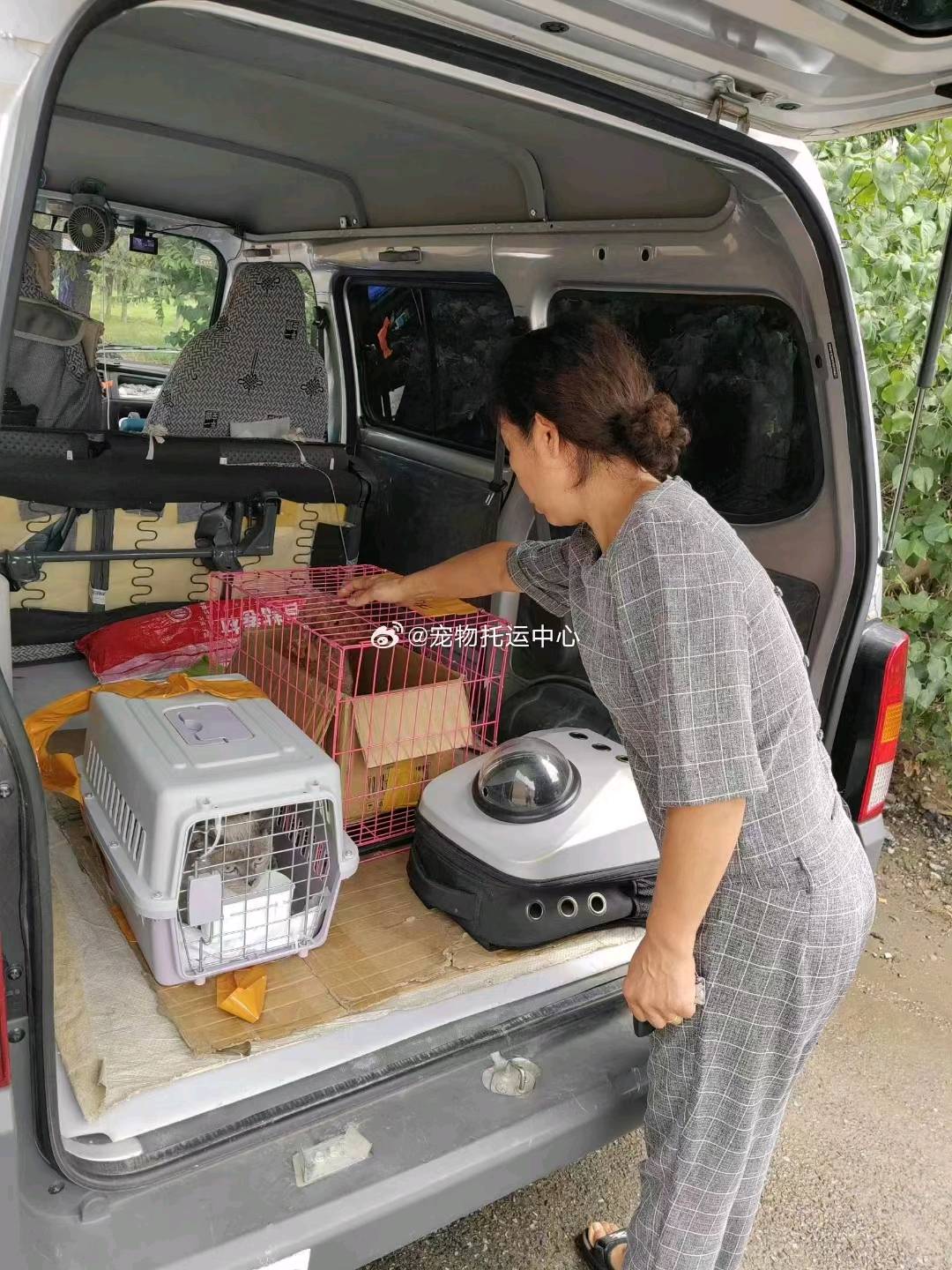 张先生全国宠物托运服务，线上线下都可以做