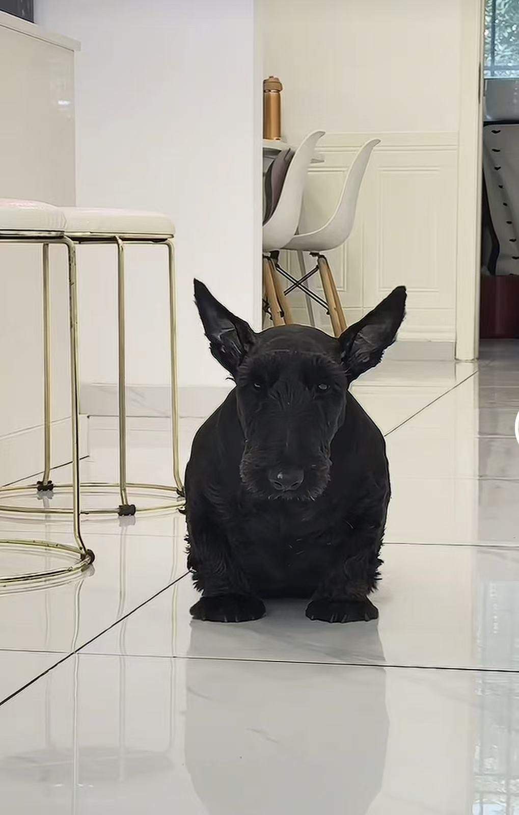 董先生其他供需超强副业，抖音快手视频拉新，操作简单，一部手机即可完成。