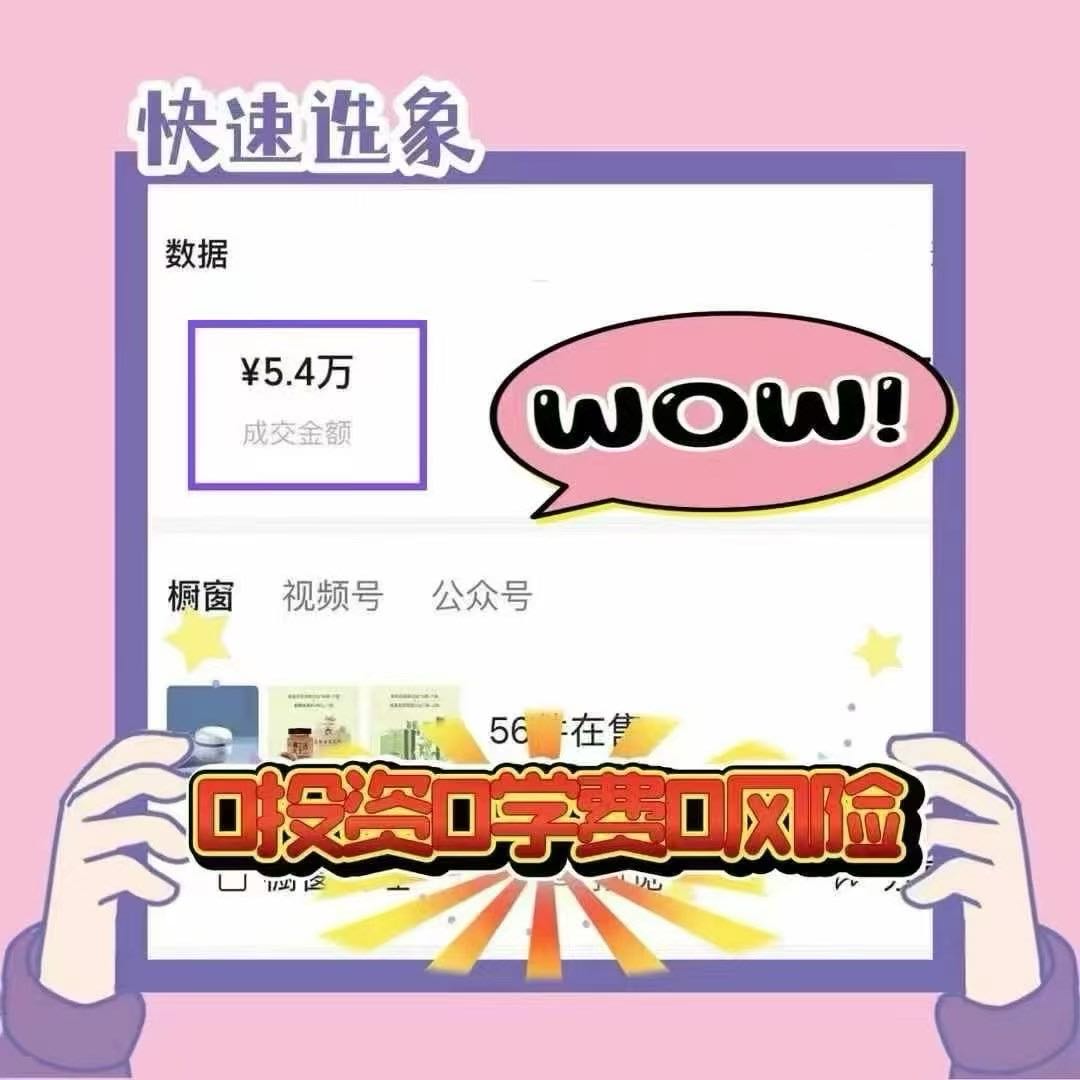莫炳胜找合伙人私域流量运营技术+视频号云现象电商