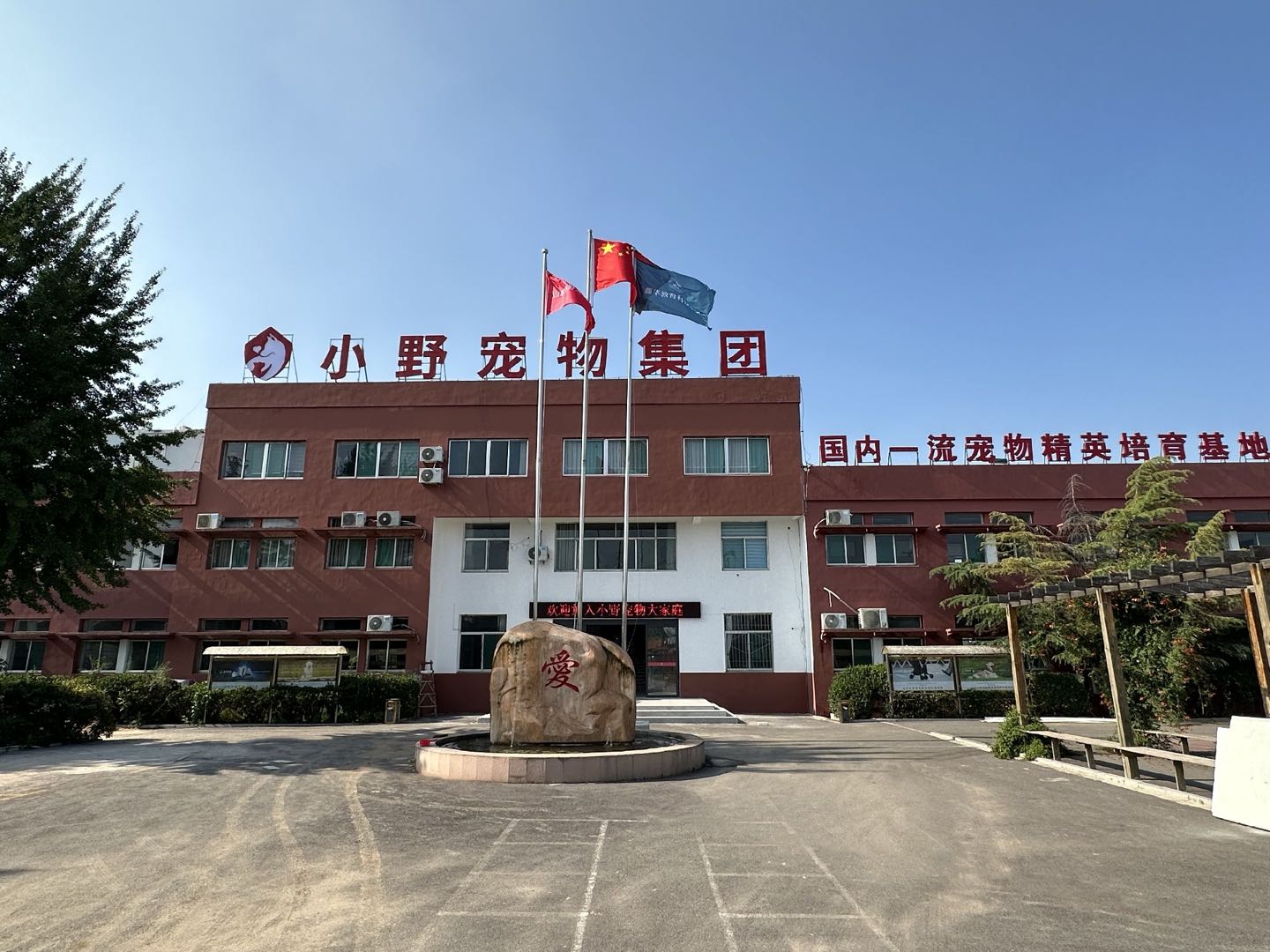李先生其他供需宠物美容、宠物医疗、宠物训导 培训 三十天掌握一项技能 换得一份高薪