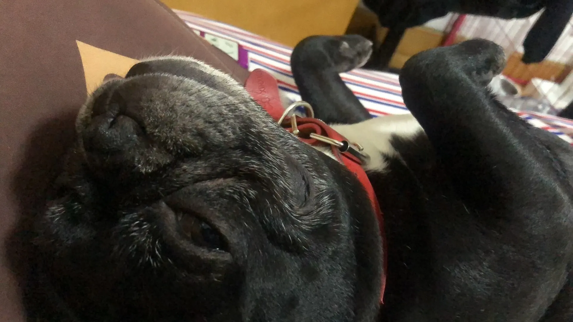 u客直谈实名认证俞先生