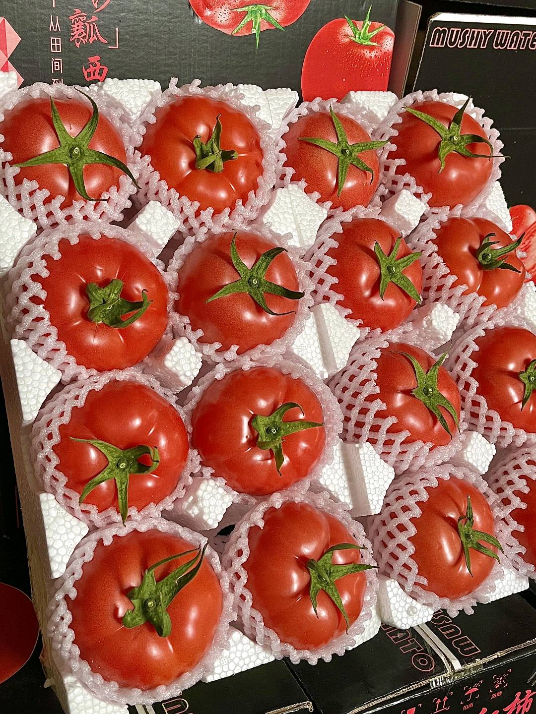 柴卫东品牌货源