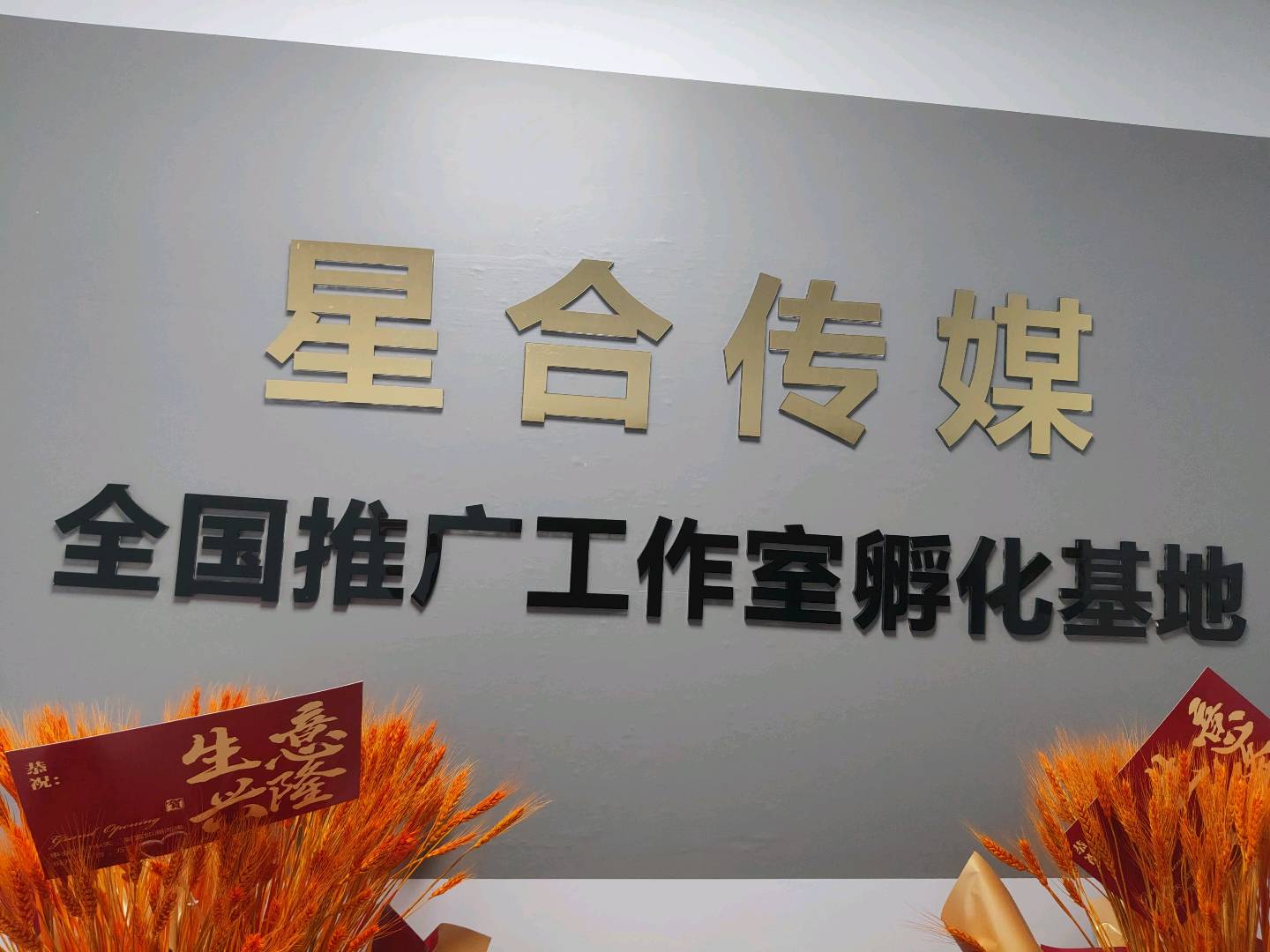 侯宁双其他供需