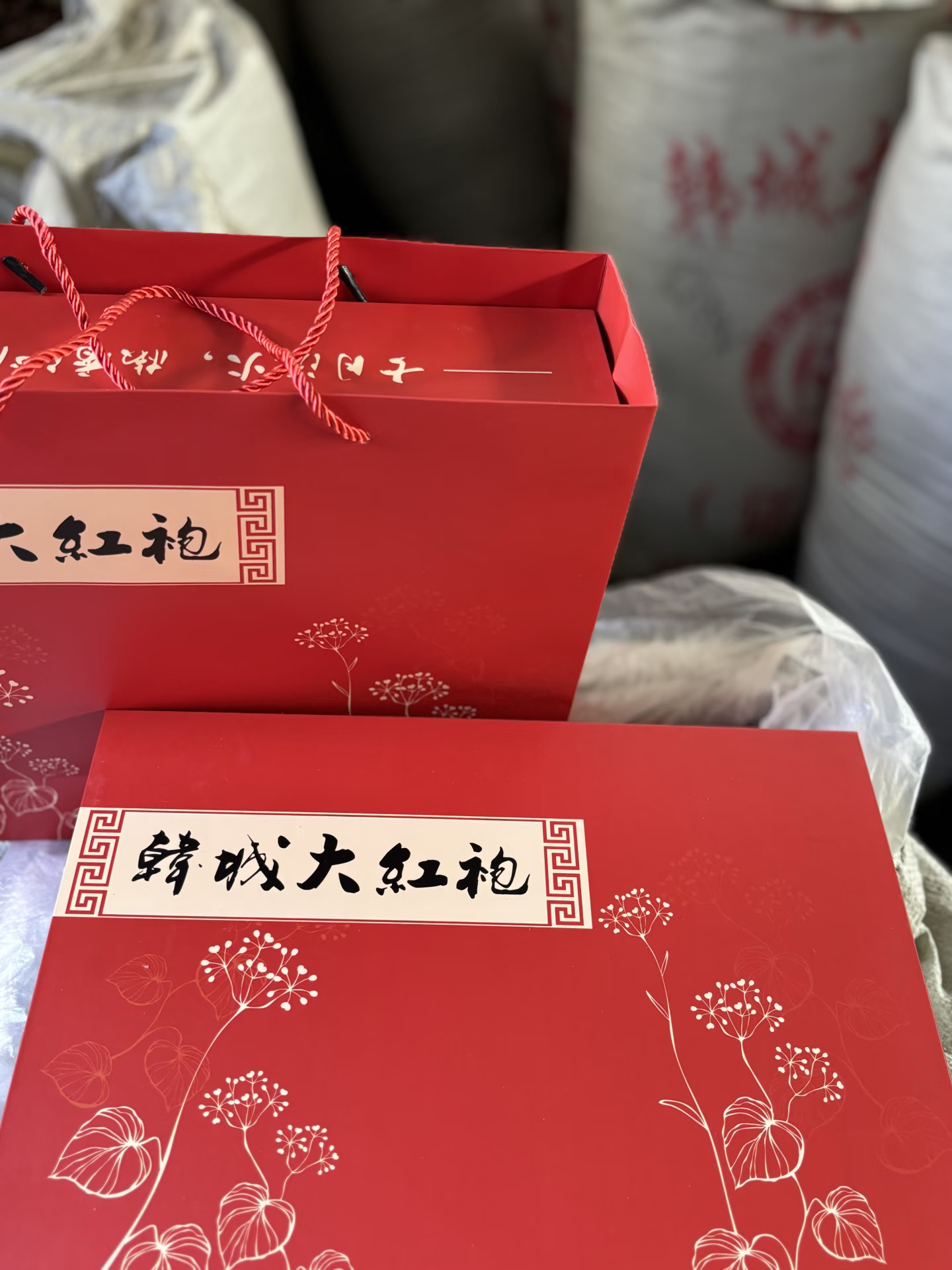 谢亚飞品牌货源