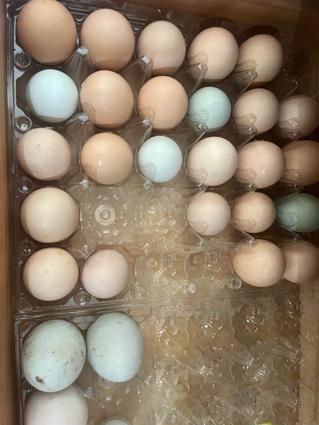 陈不可找合伙人咯咯生活~共建人