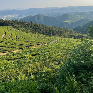 u客直谈实名认证吕先生