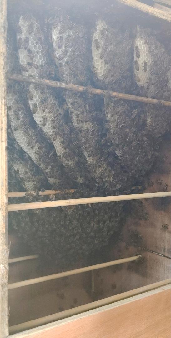 杨波品牌货源