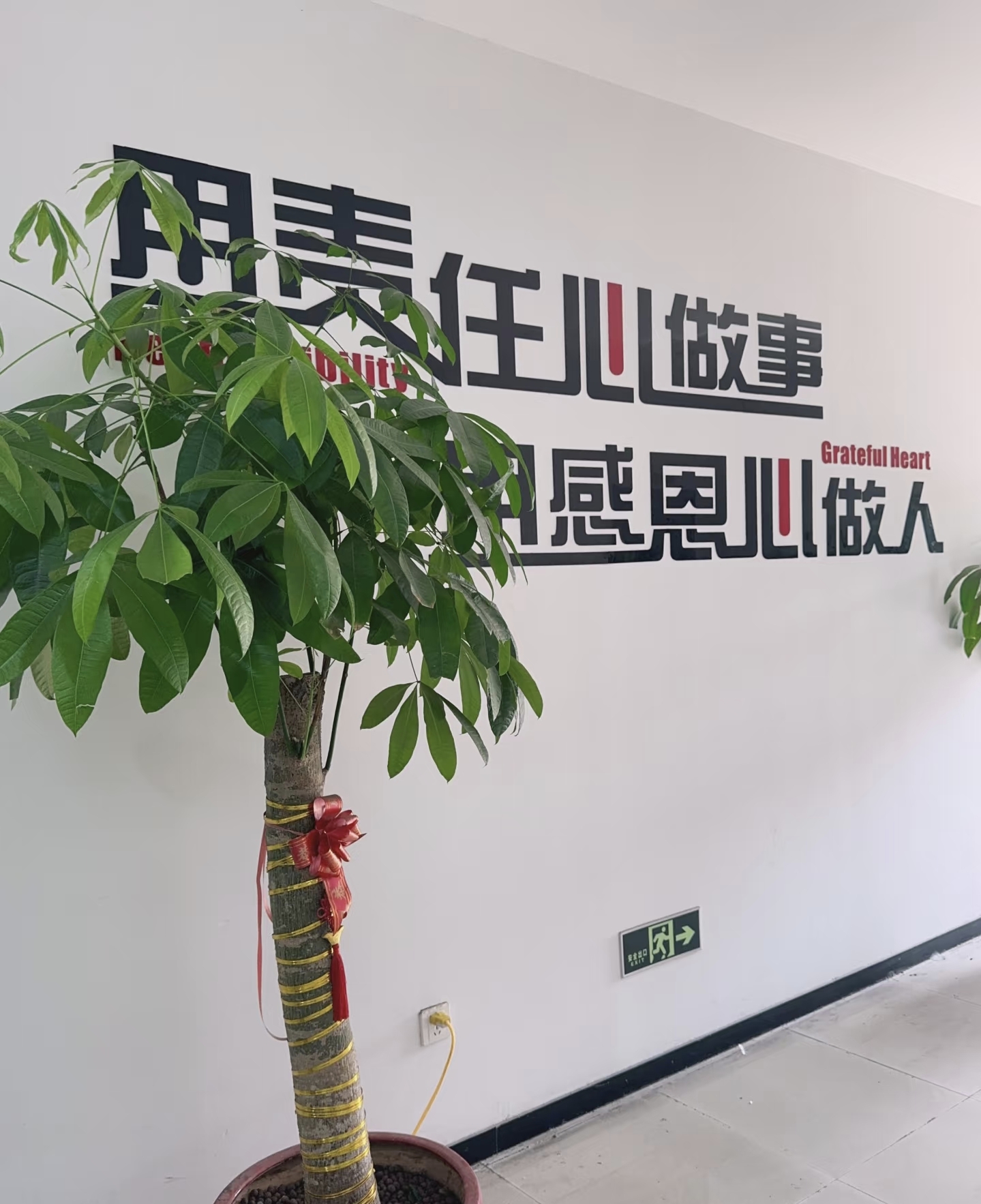 简新戋其他供需支付宝网商银行测额任务，每单160，日入*