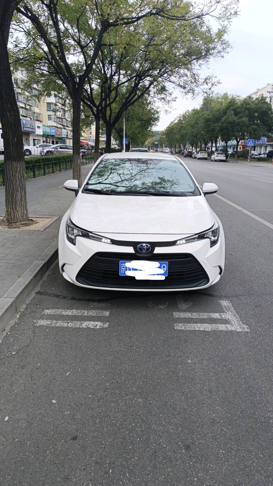 姚先生地推项目