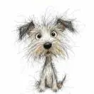 u客直谈实名认证饶昌斌