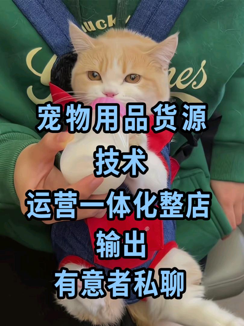 刘女士其他供需